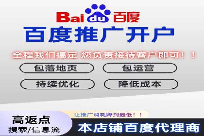 百度推广公司案例解析：如何通过百度推广实现品牌升级
